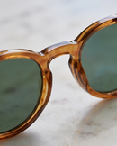 Óculos de Sol Modelo Heritage Olive - UV400
